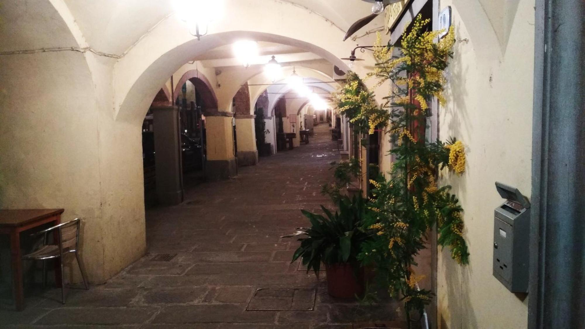 Il Nido Nel Chianti Daire Greve in Chianti Dış mekan fotoğraf